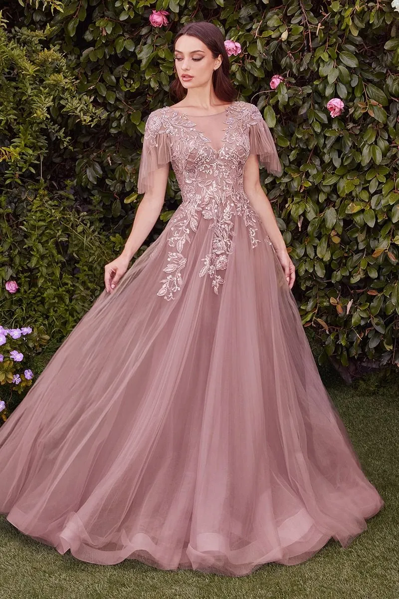 EMBELLISHED LACE LAYERED TULLE  BALL GOWN W/ILLUSION V-NECKLINE & SHORT SLEEVES