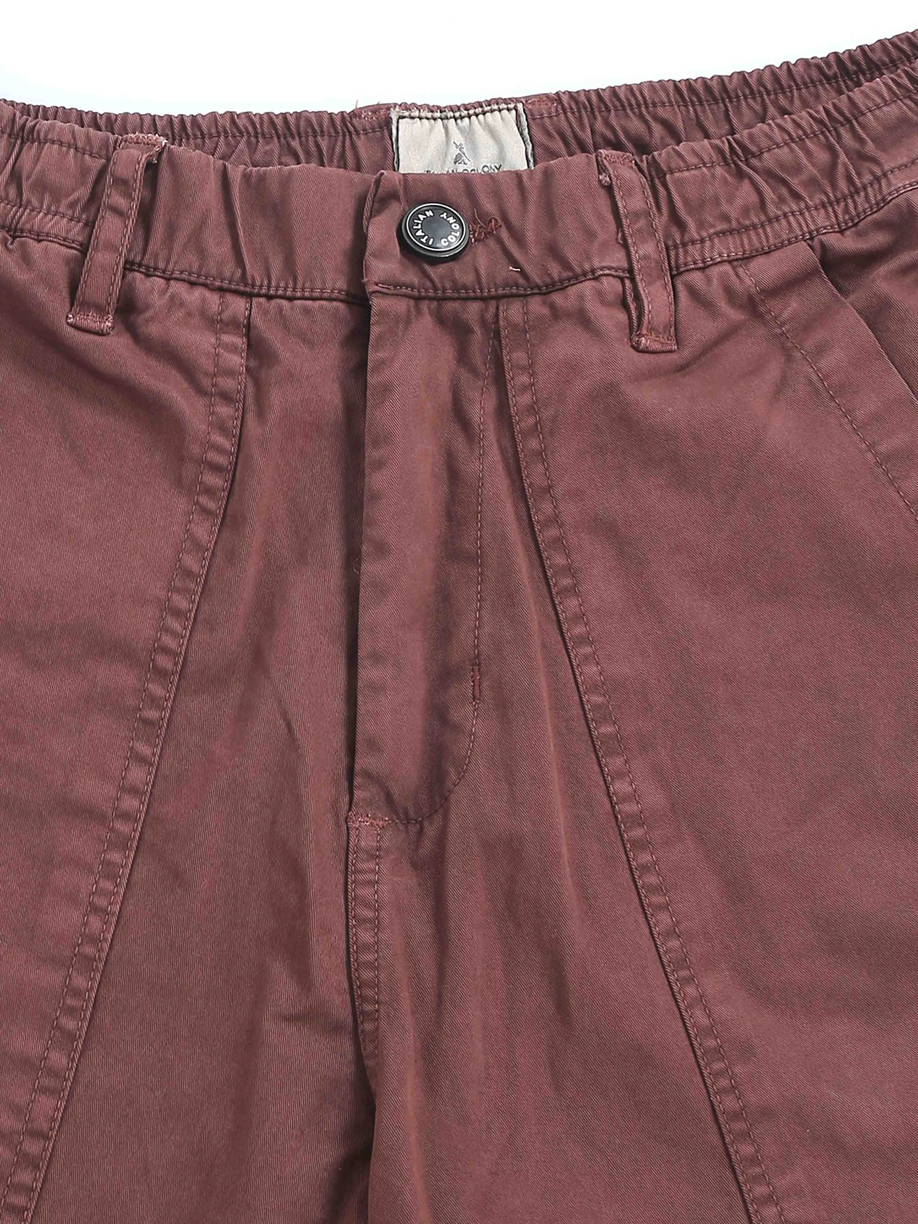 ZipCore Utility Pant In Brown